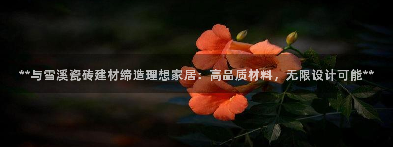 杏鑫平台正规吗可信吗