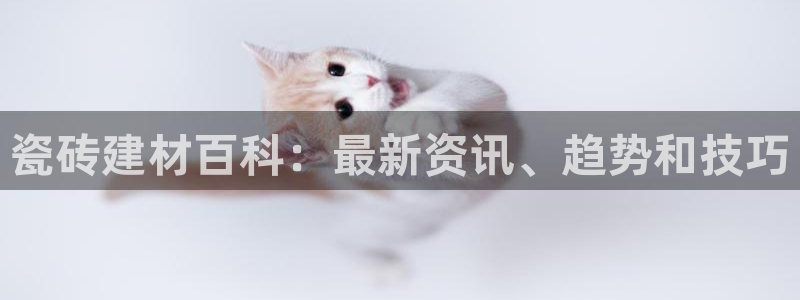 杏鑫平台怎么样黑钱吗安全吗