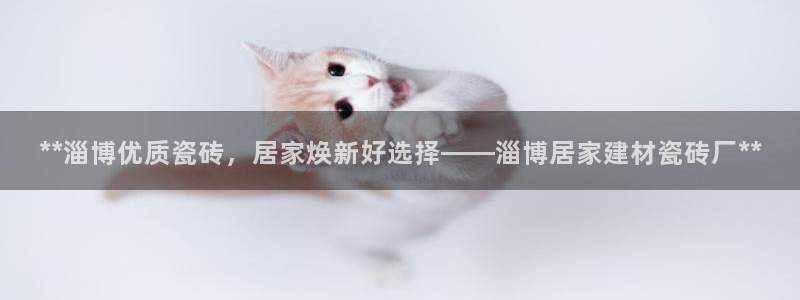 杏鑫平台招商电话号码是多少