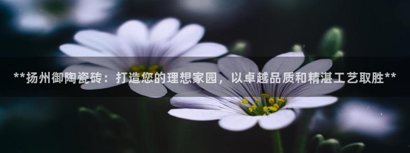 杏鑫官网