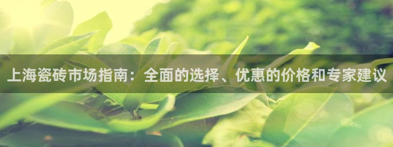杏鑫平台招商怎么样啊