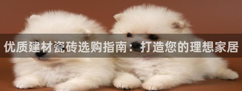 杏鑫平台怎么样知乎