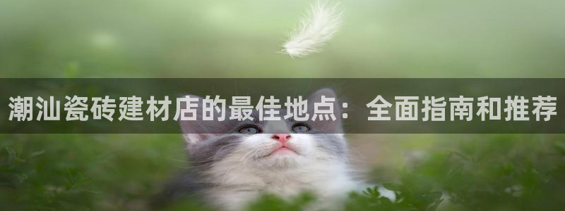 杏鑫平台招商