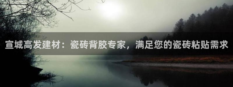杏鑫平台注册地址是哪里