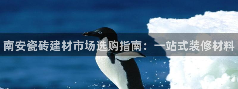 杏鑫平台招商电话号码是多少