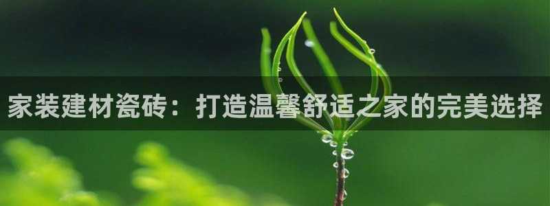 杏鑫平台代理注册多少钱