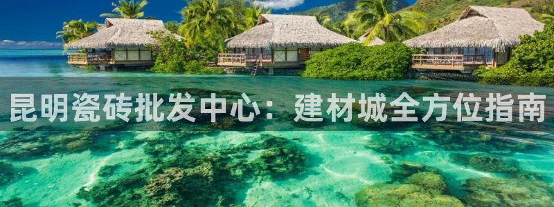杏鑫平台登录地址