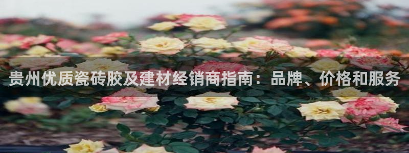 杏鑫平台待遇