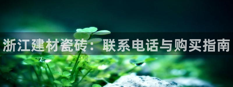 杏鑫平台注册网址查询
