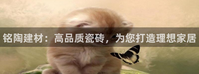 杏鑫官网注册账号是什么