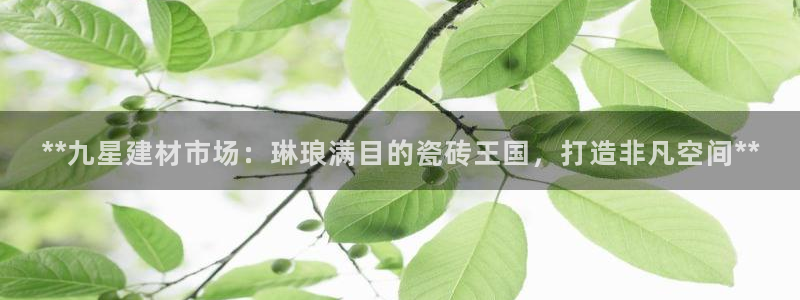 杏鑫娱乐官网登录不了