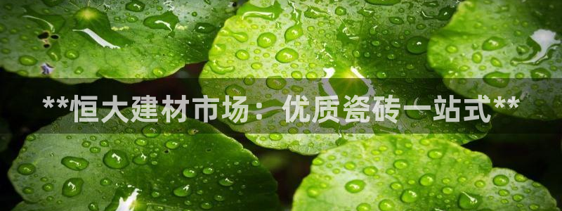 杏鑫注册登录代理公司