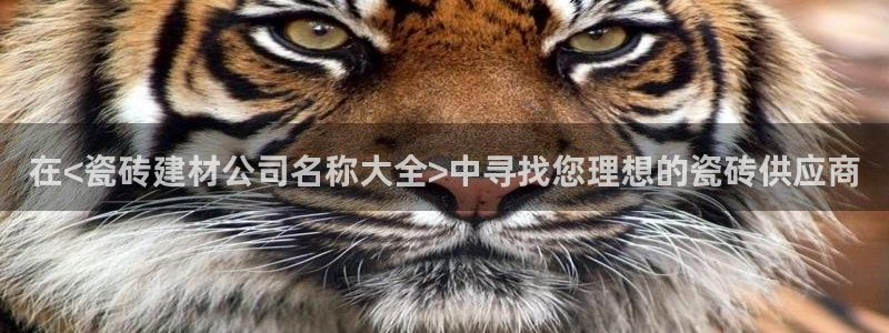 杏鑫官网