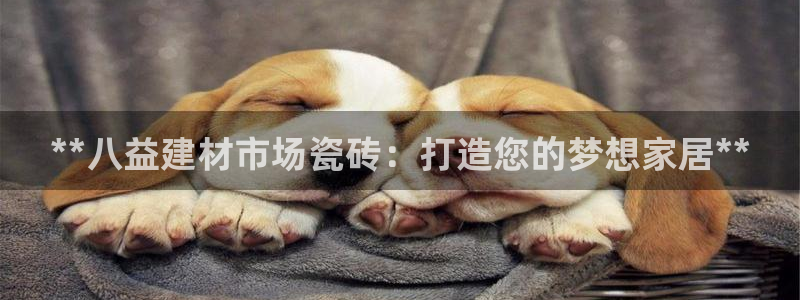 杏鑫娱乐平台登录