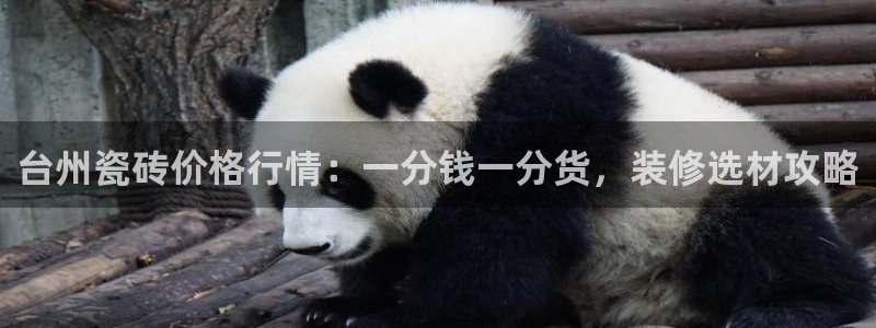 杏鑫平台野马联盟怎么样