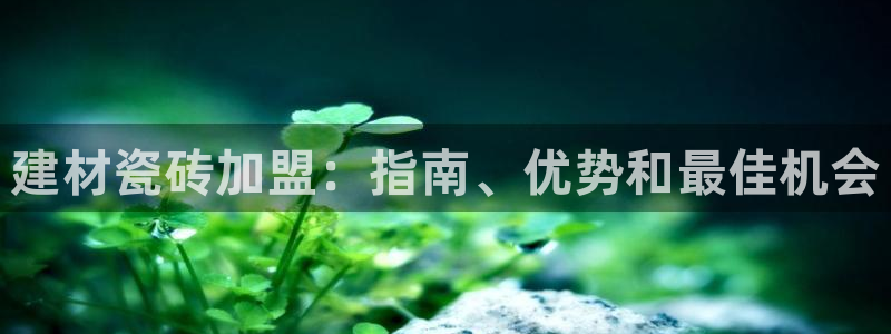 杏鑫登录注册测速