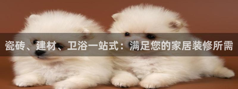 杏鑫官方平台怎么样