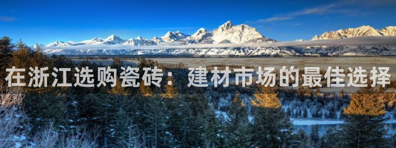 杏鑫平台登陆