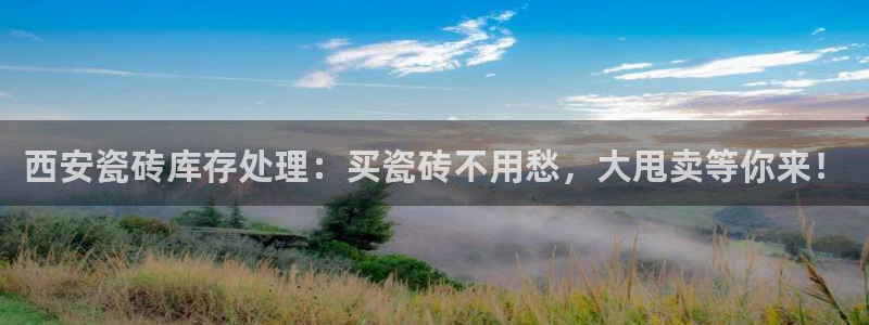 杏鑫主管