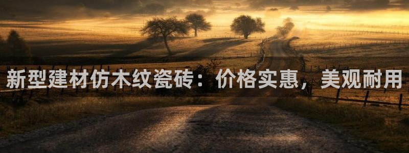 杏鑫平台代理