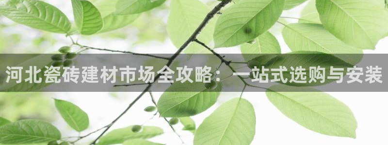 杏鑫平台招商怎么样啊