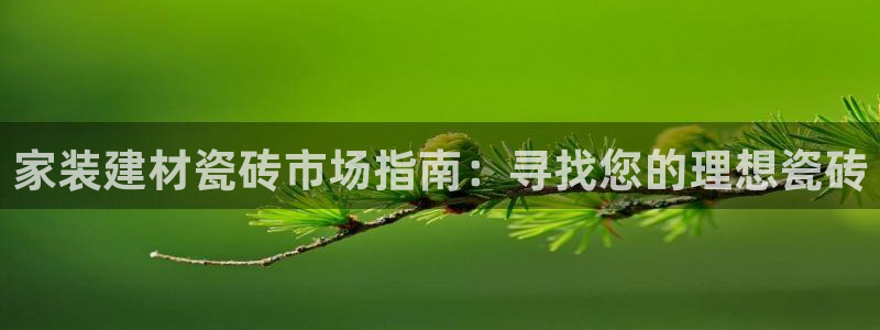 杏鑫平台招商电话号码查询