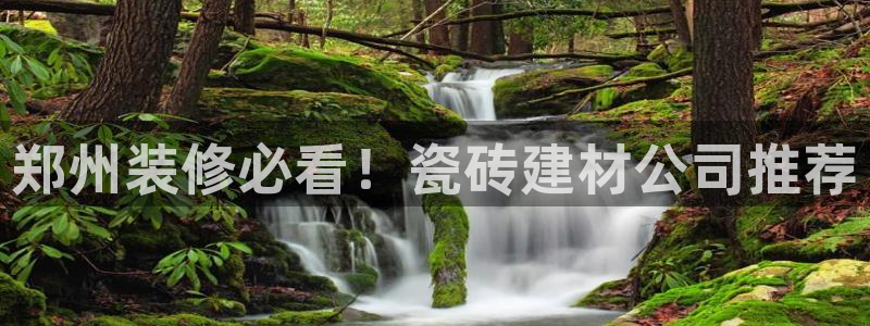 杏鑫娱乐平台