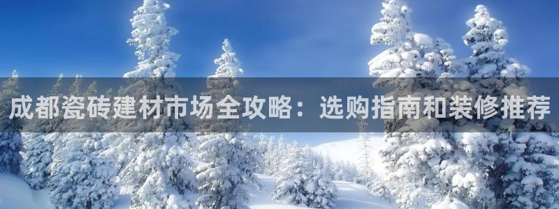 杏鑫官方app代理