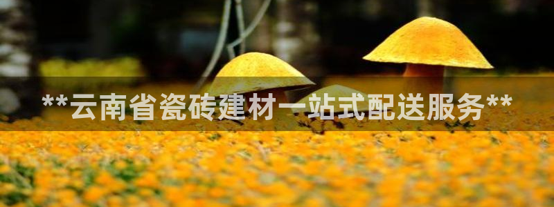 杏鑫平台怎么样黑钱吗安全吗是真的吗