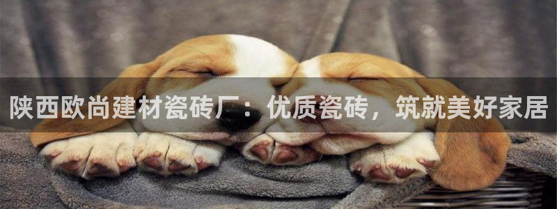 杏鑫娱乐多少年了