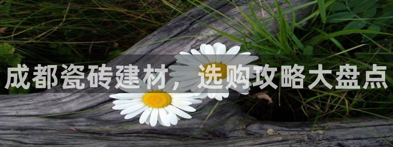 杏鑫平台号7O777