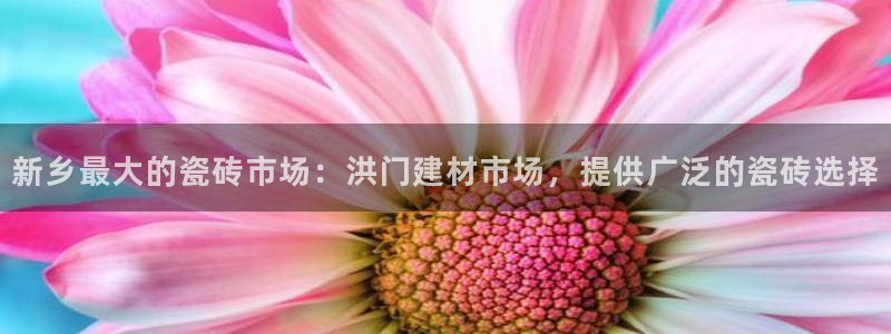 杏鑫平台招商怎么样啊
