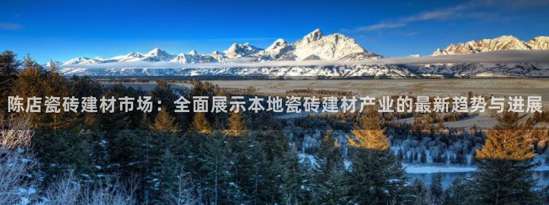 杏鑫手机客户端怎么下载