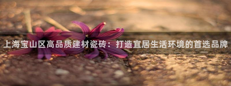 杏鑫娱乐平台测速怎么样