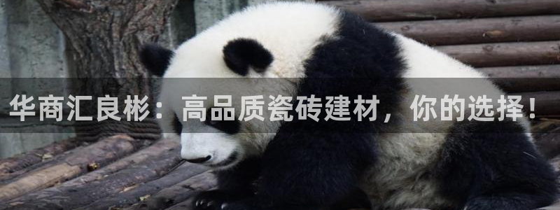 杏鑫平台招商电话号码查询