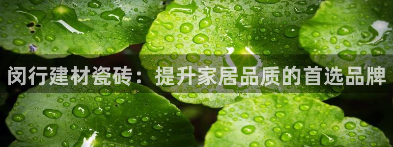杏鑫娱乐官方网站客户端