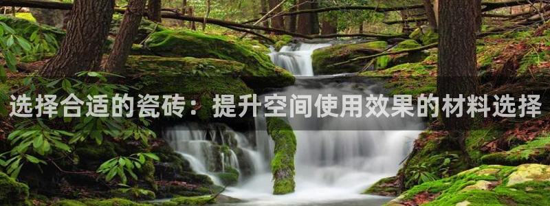 杏鑫平台平台娱乐怎么样