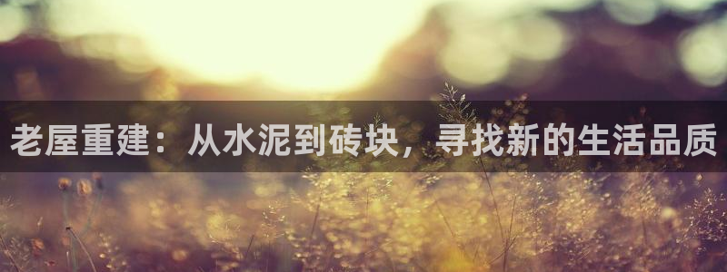 杏鑫官网注册账号