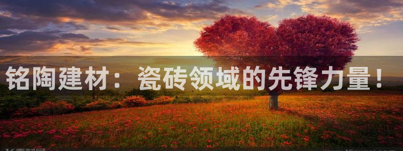 杏鑫招商总代