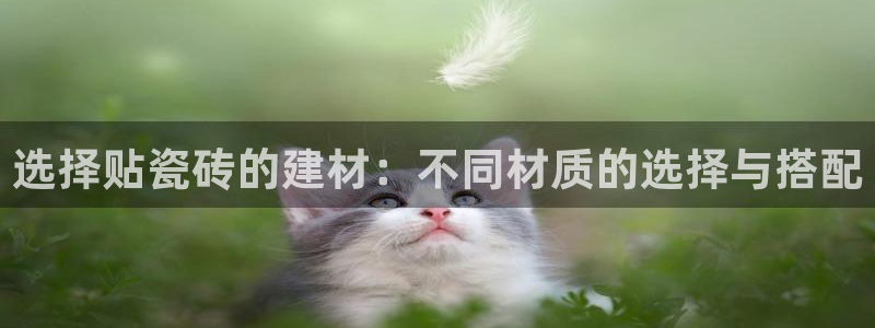 杏鑫平台官方网站