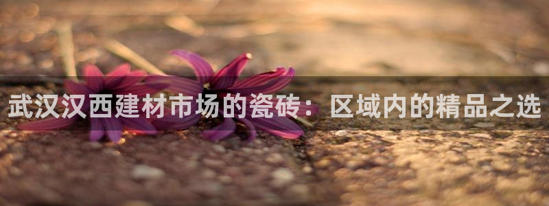 杏鑫平台代理
