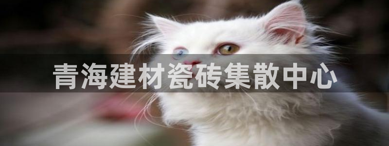 杏鑫娱乐是真的吗还是假的