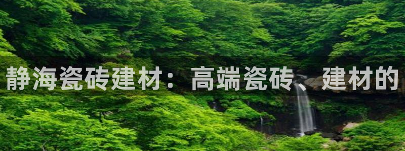 杏鑫平台平台娱乐