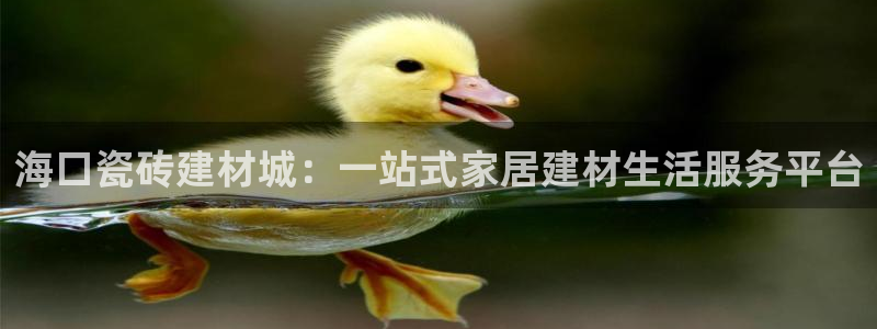 杏鑫平台代理怎么样啊