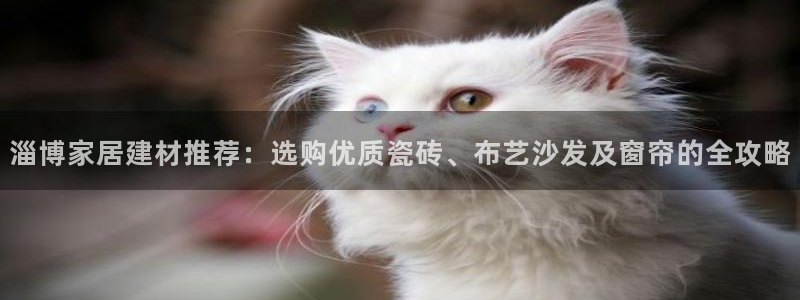 杏鑫官网