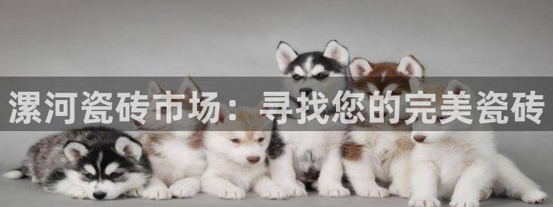 杏鑫平台怎么样黑钱吗安全吗是真的吗