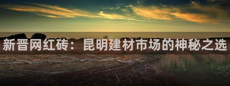 杏鑫代理注册平台